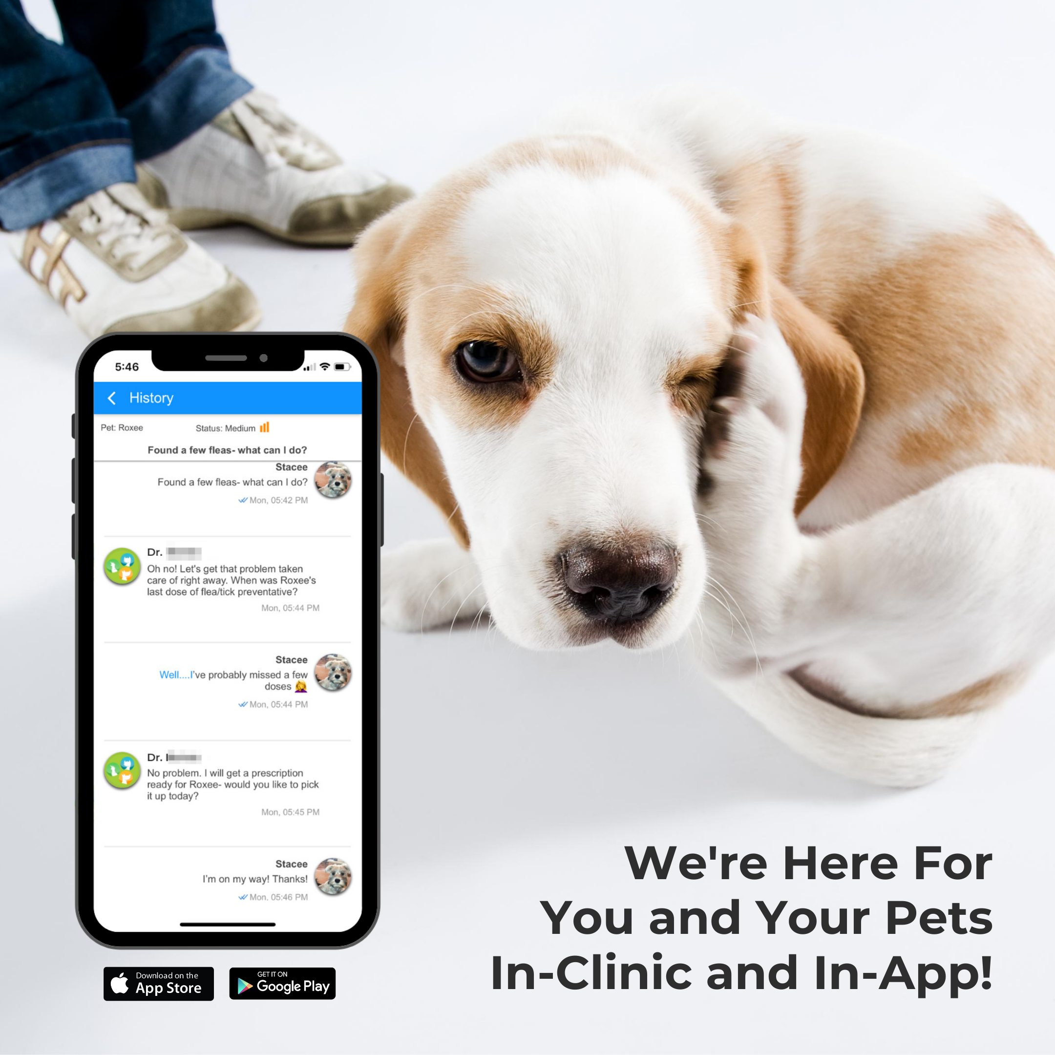 Freeport Vet app for pets