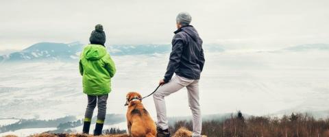 tips for hiking with dogs